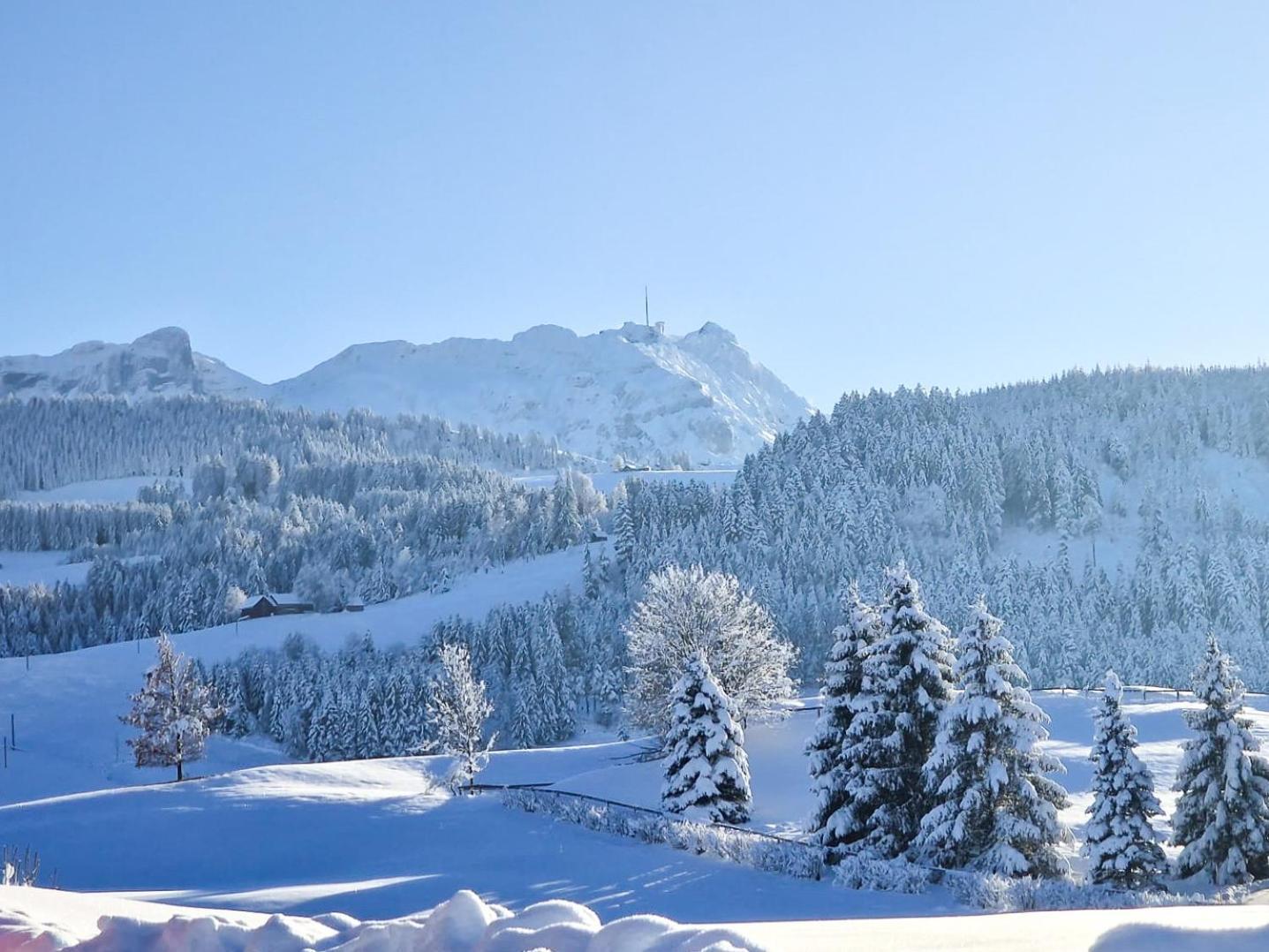 Appenzeller Huus Loewen 4*